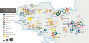 transmission d'entreprises en Belgique