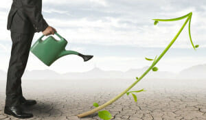 Alimentation – Agriculture, transmission d'entreprises en Belgique