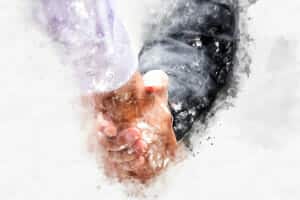 Alimentation – Agriculture, transmission d'entreprises en Belgique